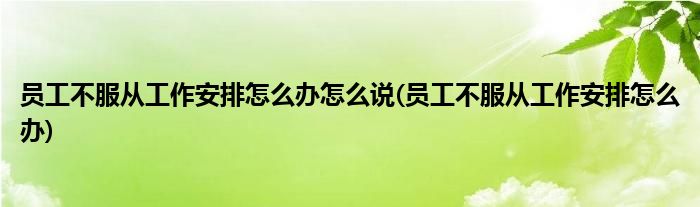 员工不服从工作安排怎么办怎么说(员工不服从工作安排怎么办)