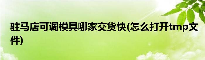 驻马店可调模具哪家交货快(怎么打开tmp文件)