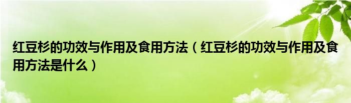 红豆杉的功效与作用及食用方法（红豆杉的功效与作用及食用方法是什么）