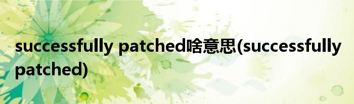 successfully patched啥意思(successfully patched)