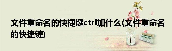 文件重命名的快捷键ctrl加什么(文件重命名的快捷键)