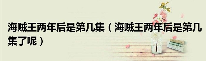 海贼王两年后是第几集（海贼王两年后是第几集了呢）