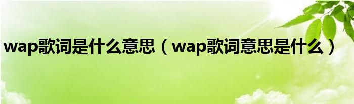 wap歌词是什么意思（wap歌词意思是什么）