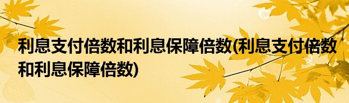 利息支付倍数和利息保障倍数(利息支付倍数和利息保障倍数)