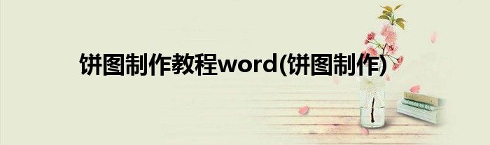饼图制作教程word(饼图制作)