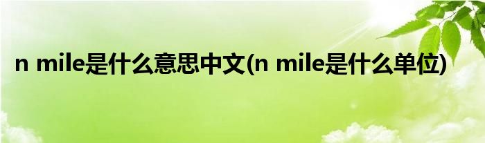 n mile是什么意思中文(n mile是什么单位)
