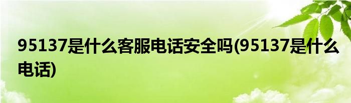 95137是什么客服电话安全吗(95137是什么电话)