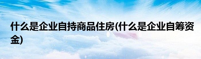 什么是企业自持商品住房(什么是企业自筹资金)