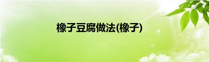 橡子豆腐做法(橡子)