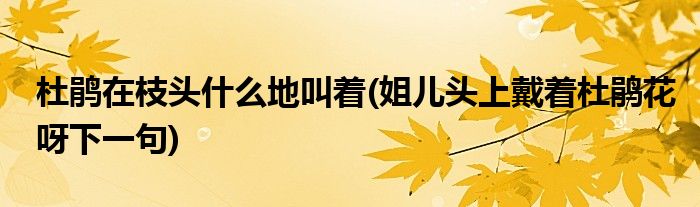 杜鹃在枝头什么地叫着(姐儿头上戴着杜鹃花呀下一句)