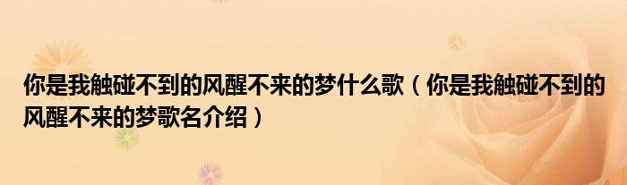 你是我触碰不到的风醒不来的梦什么歌（你是我触碰不到的风醒不来的梦歌名介绍）