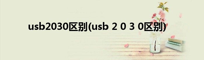 usb2030区别(usb 2 0 3 0区别)