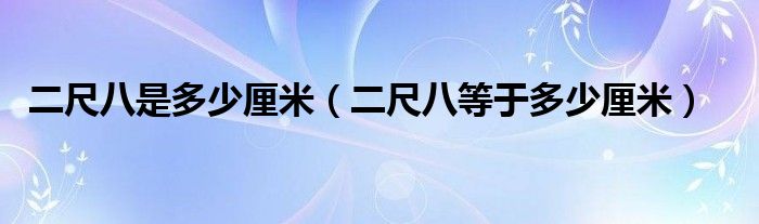 二尺八是多少厘米（二尺八等于多少厘米）