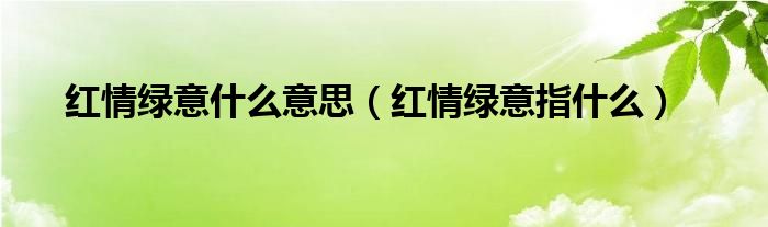 红情绿意什么意思（红情绿意指什么）