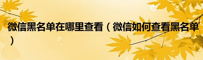 微信黑名单在哪里查看（微信如何查看黑名单）