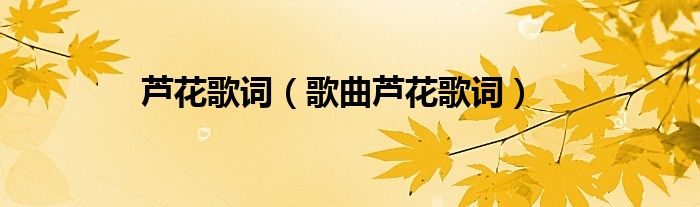 芦花歌词（歌曲芦花歌词）