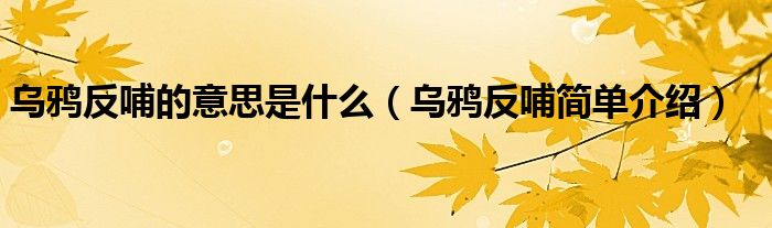 乌鸦反哺的意思是什么（乌鸦反哺简单介绍）