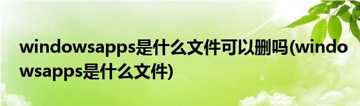 windowsapps是什么文件可以删吗(windowsapps是什么文件)