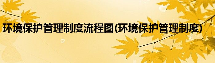 环境保护管理制度流程图(环境保护管理制度)