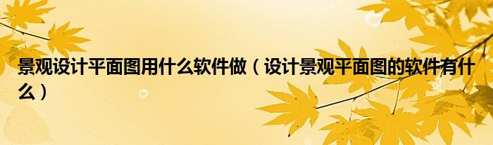 景观设计平面图用什么软件做（设计景观平面图的软件有什么）