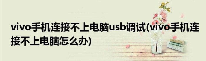 vivo手机连接不上电脑usb调试(vivo手机连接不上电脑怎么办)