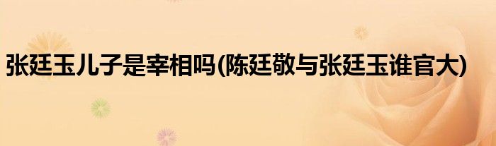 张廷玉儿子是宰相吗(陈廷敬与张廷玉谁官大)