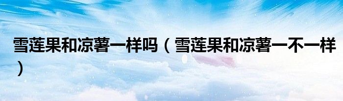 雪莲果和凉薯一样吗（雪莲果和凉薯一不一样）