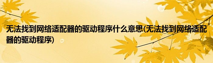 无法找到网络适配器的驱动程序什么意思(无法找到网络适配器的驱动程序)