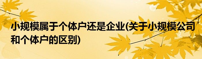 小规模属于个体户还是企业(关于小规模公司和个体户的区别)