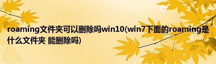roaming文件夹可以删除吗win10(win7下面的roaming是什么文件夹 能删除吗)