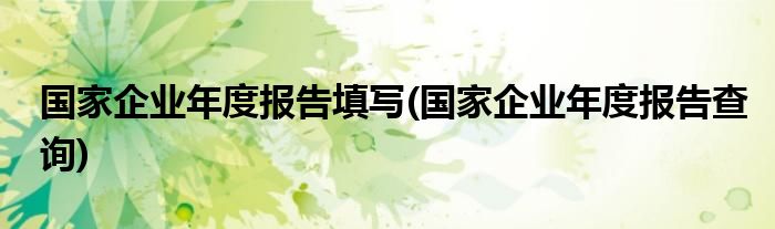 国家企业年度报告填写(国家企业年度报告查询)