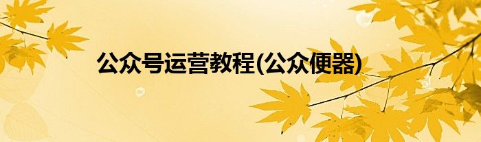 公众号运营教程(公众便器)