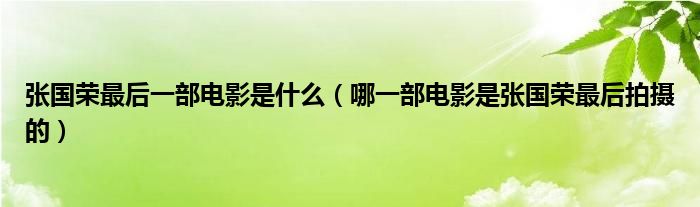 张国荣最后一部电影是什么（哪一部电影是张国荣最后拍摄的）