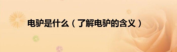 电驴是什么（了解电驴的含义）