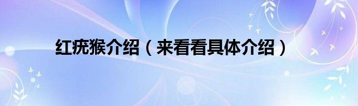 红疣猴介绍（来看看具体介绍）