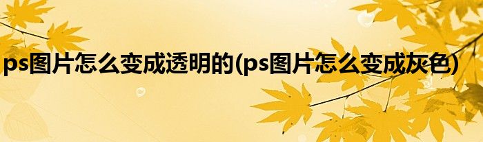 ps图片怎么变成透明的(ps图片怎么变成灰色)