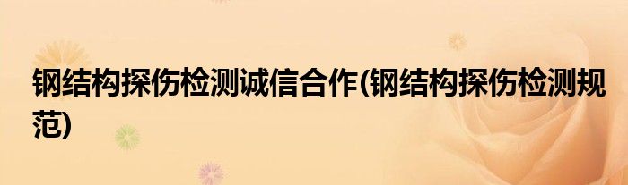 钢结构探伤检测诚信合作(钢结构探伤检测规范)