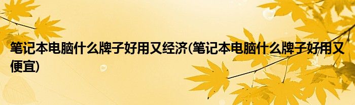 笔记本电脑什么牌子好用又经济(笔记本电脑什么牌子好用又便宜)