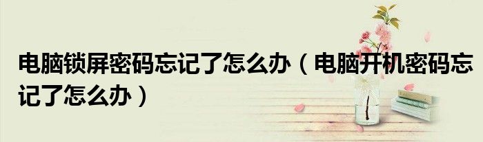 电脑锁屏密码忘记了怎么办（电脑开机密码忘记了怎么办）