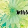 猪脑花怎么做才好吃(猪脑花)