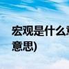 宏观是什么意思微观是什么意思(宏观是什么意思)