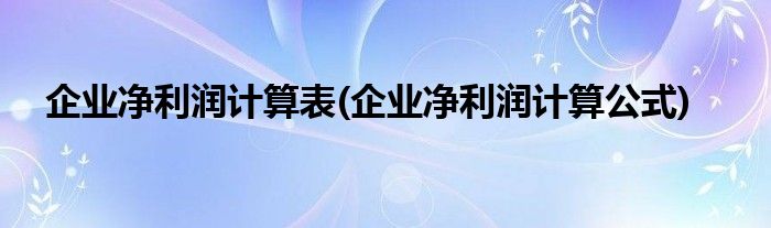 企业净利润计算表(企业净利润计算公式)