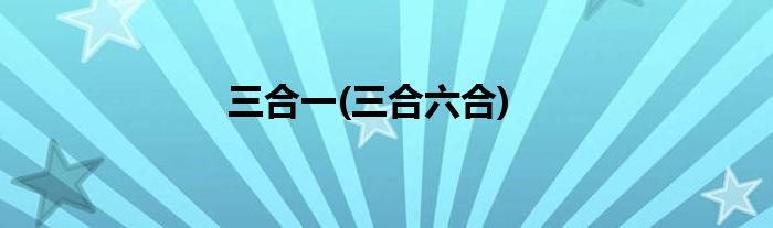 三合一(三合六合)