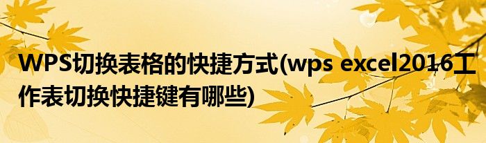 WPS切换表格的快捷方式(wps excel2016工作表切换快捷键有哪些)