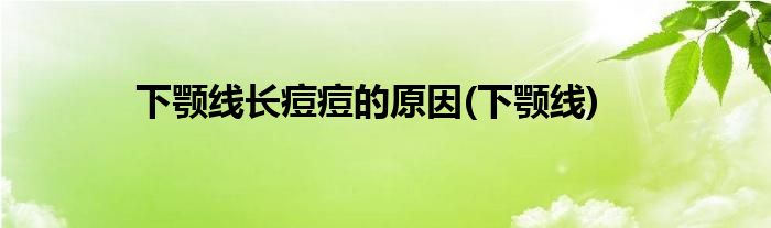 下颚线长痘痘的原因(下颚线)