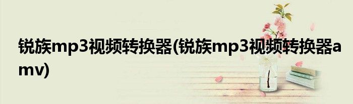 锐族mp3视频转换器(锐族mp3视频转换器amv)
