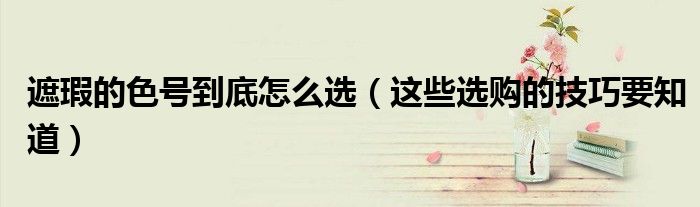遮瑕的色号到底怎么选（这些选购的技巧要知道）