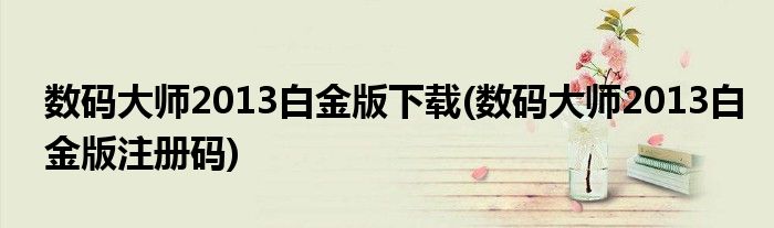 数码大师2013白金版下载(数码大师2013白金版注册码)