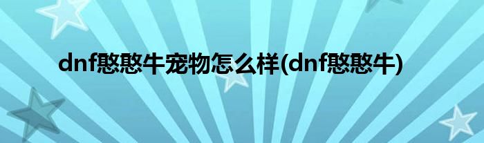 dnf憨憨牛宠物怎么样(dnf憨憨牛)