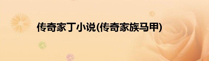 传奇家丁小说(传奇家族马甲)